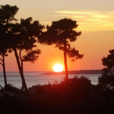 Chambre D'Hotes Pyla Sur Mer ラ・テスト・ド・ビュシュ エクステリア 写真