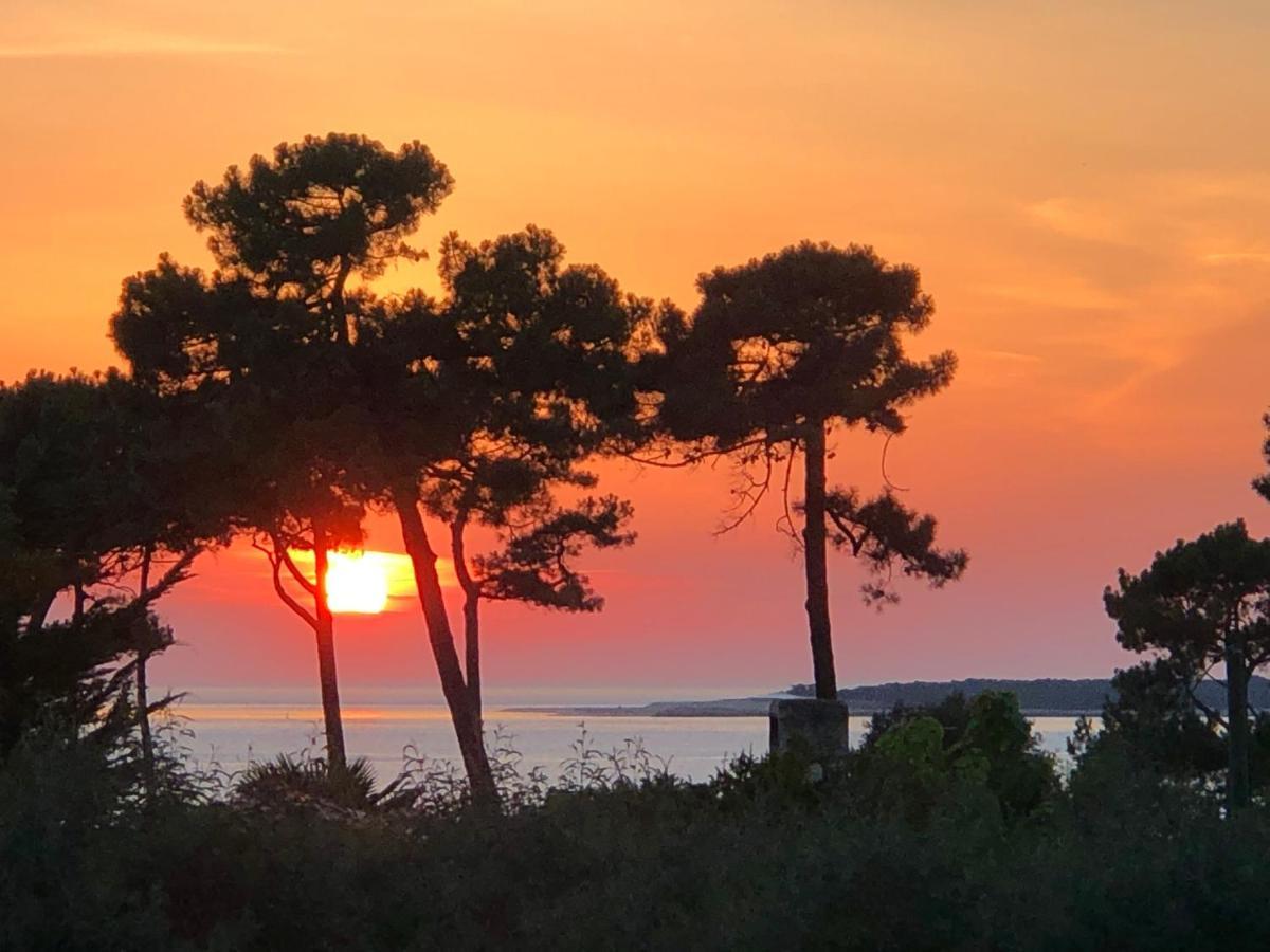 Chambre D'Hotes Pyla Sur Mer ラ・テスト・ド・ビュシュ エクステリア 写真