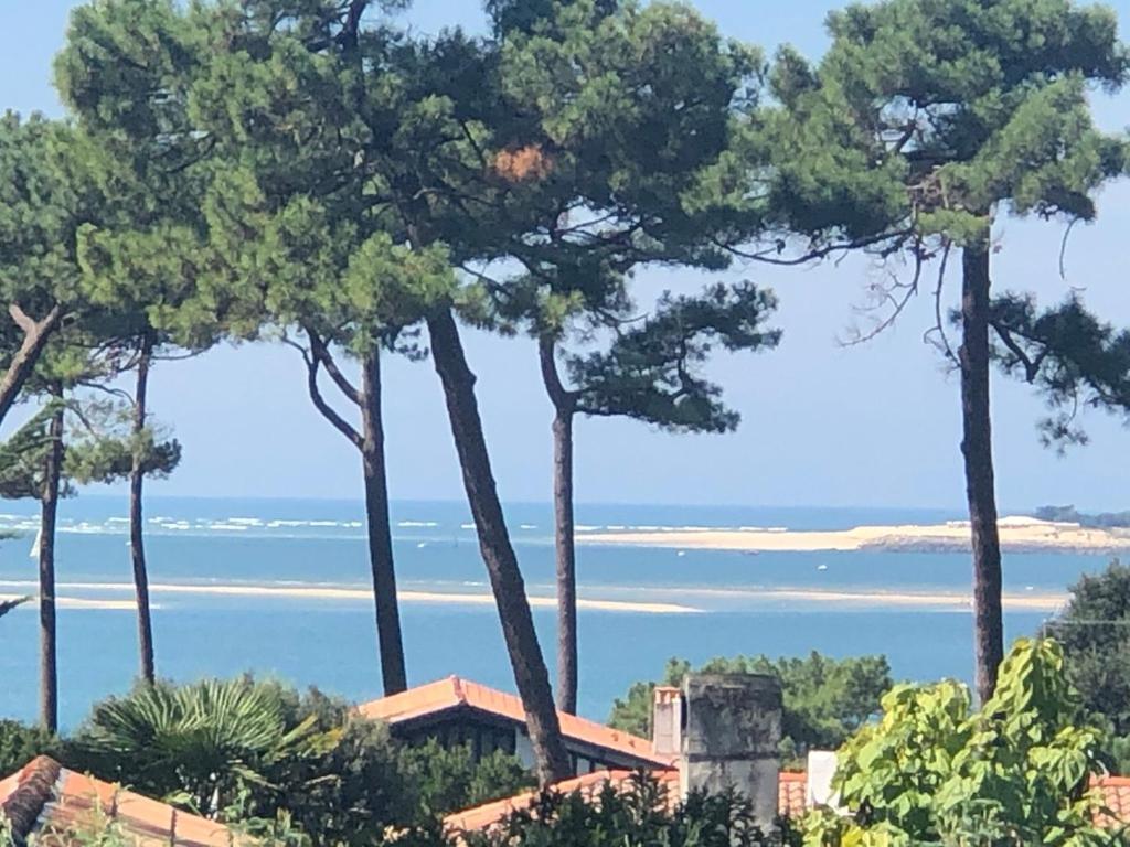 Chambre D'Hotes Pyla Sur Mer ラ・テスト・ド・ビュシュ エクステリア 写真