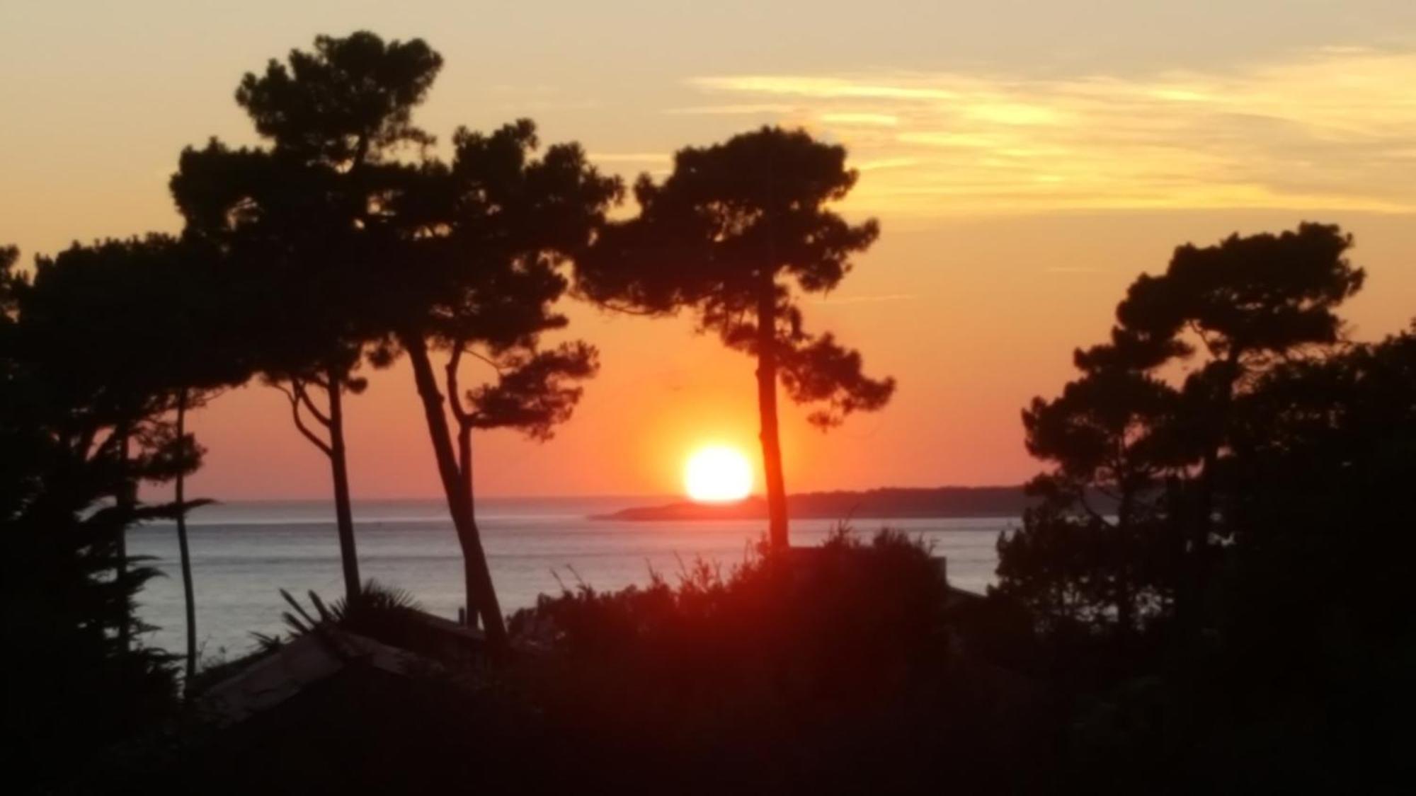 Chambre D'Hotes Pyla Sur Mer ラ・テスト・ド・ビュシュ エクステリア 写真